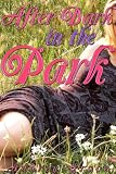 After Dark in the Park