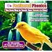 Feathered Phonics Volume 7: The Easy Way To Teach Your Canary To Sing