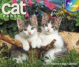 2012 Cat Fancy Year-In -A Box Calendar
