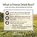 Instinct Raw Boost Indoor Health Grain Free Chicken Meal Formula Natural Dry Cat Food By Nature'S Variety, 5.1 Lb. Bag