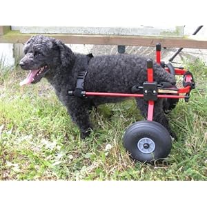 【クリックで詳細表示】全世界で5万台以上の販売実績を誇る米国 K-9 Carts 社製！「K-9 スタンダード」 後肢サポート車いす ML(18.1～22kg) レッド