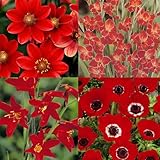 Détails sur le produit