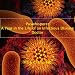 Puswhisperer: A Year in the Life of an Infectious Disease Doc 1.3