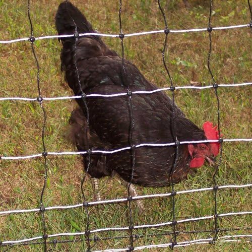 Powerfields P-89-BW Poultry/Goat Net 42" x 165' Black/White
