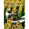 Amazon Oddities and Weirdness: Magazines and Periodicals