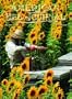 American Bee Journal