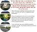 The Rich Man's How To Earn Extra Money, Success Principles and Biz Networking for Fitness Books Biz 3 CD Package