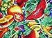 V.H.O. Funky Hawaiian Shirt for Men Short Sleeve Front-Pocket TuttiFrutti, Fruits