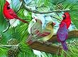 Cardinal Gathering (1,000 Piece Puzzle)