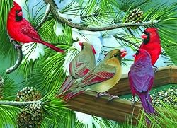 Cardinal Gathering (1,000 Piece Puzzle)