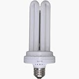 Tools & Hardware : Lights of America 9142B Compact Fluorescent Bulb