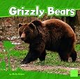 Grizzly Bears