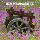 Texas Wildflowers 2012 Square 12X12 Wall Calendar