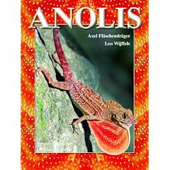 Anolis: Im Biotop und Terrarium