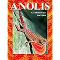 Anolis: Im Biotop und Terrarium