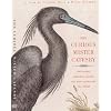 The Curious Mister Catesby