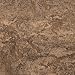 Rare Earth Forbo Marmoleum New & Improved Linoleum Sheet Flooring 2.5mm