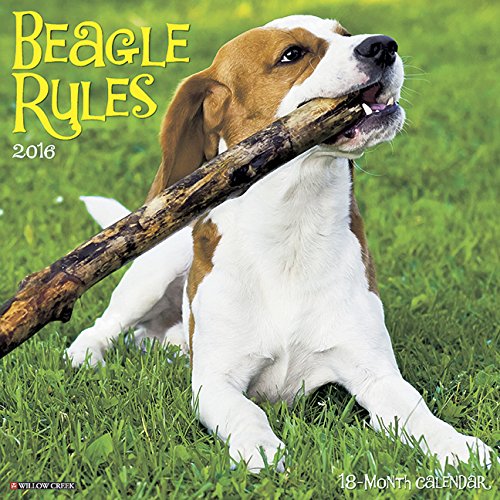 2016 Beagle Rules Wall Calendar