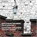 Classical Music : Weinberg: Cello Sonatas