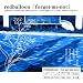 forget-me-not