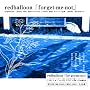 forget-me-not