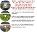 The Insider's How To Earn Extra Money, Inner Game and eCommerce for Computer Accessories Web Biz 3 CD Course