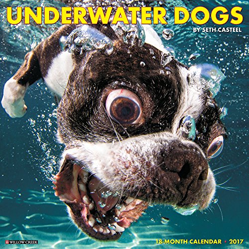 Underwater Dogs 2017 Wall Calendar