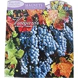 Vineyards 2009 16-month Wall Calendar with 4 free magnets