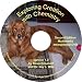 Exploring Creation with Chemistry Instructional DVD