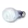 GE Lighting 63511 20-Watt 1050-Lumen Bright from the Start CFL Light Bulb, Reveal, 2-Pack