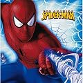 Amazing Spider-Man Luncheon Napkins, 16-Count Packages (Pack of 6)