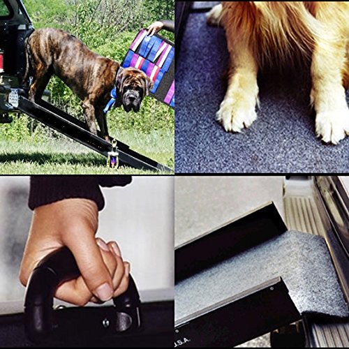 How To Make A Dog Ramp For A Truck at Teresa Santiago blog