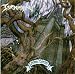 Tormentor-Anno Domini