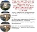 The Secret Make An Extra Income, Sales Models and eCommerce for Pet Strollers On-line Businesses 3 CD Course