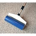 Sticky Roller with Free Carpet Wizard