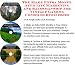 The Make Extra Money, Affiliate Marketing, Salesmanship for Vintage Gaming Consoles Businesses