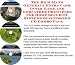 The Rich Man's Generate Extra Cash, Inner Game and Godfather Principles for Home Security Systems Businesses 3 CD Combo Pack