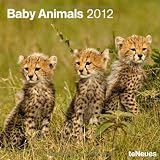 2012 Baby Animals Wall Calendar (English, German, French, Italian, Spanish and Dutch Edition)