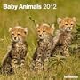 2012 Baby Animals Grid Calendar