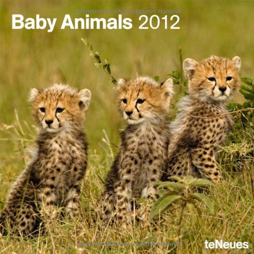 2012 Baby Animals Wall Dutch Edition)