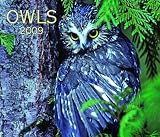 Owls 2009 (Calendar)