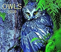 Owls 2009 (Calendar)