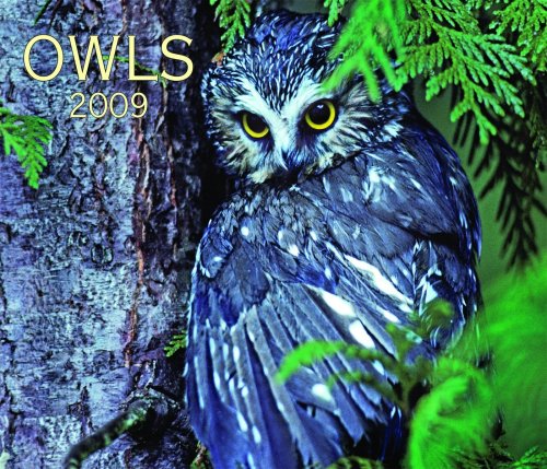Owls 2009 (Calendar)