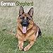 German Shepherd Calendar - Only Dog Breed German Shepherd Calendar - 2016 Wall calendars - Dog Calendars - Monthly Wall Calendar by Avonside