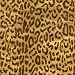 Entertaining with Caspari Continuous Wrapping Paper Roll, Zanzibar Foil