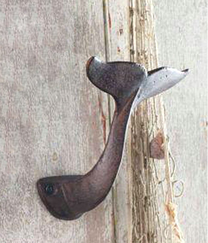 fish · Decorative Wall Hooks