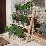 Plant Theatre - herb and flower stage (pots & plants not included) Ideal Mothers Day gift. Pictured: Natural wood