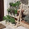 Plant Theatre - Herb and Flower Stage (pots & plants not included) Ideal Gift. Pictured: Natural Wood