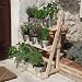 Plant Theatre Herb And Flower Stage pots Plants Not Included Ideal Mothers Day Gift Pictured Natural Wood