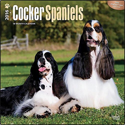 Cocker Spaniels 2016 Wall Calendar (12x12)